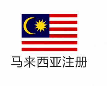 马来西亚税号的有效期是多久？